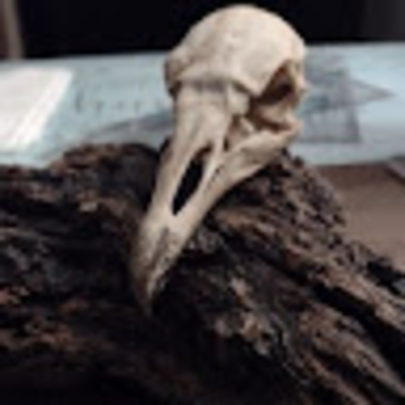 Meet your Posher, James d. - Picture 1 of 1